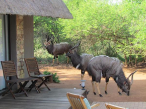 Swiblati Lodge